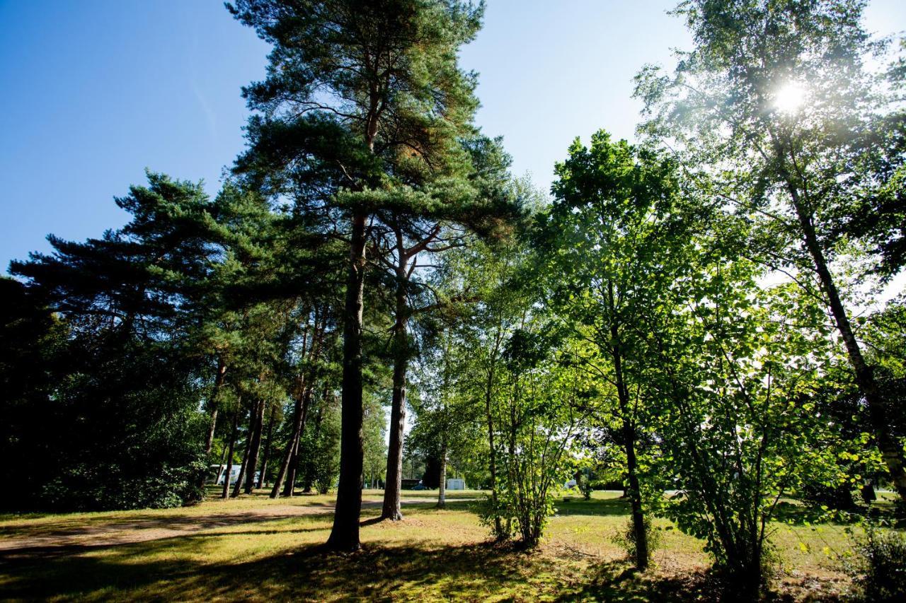 Naturcamping Lueneburger Heide - Chalets & Tiny Haeuser Soltau Exteriér fotografie
